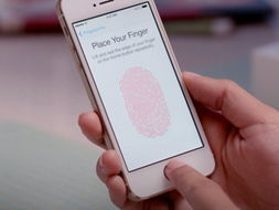 桥梁与钥匙 iPhone 5s 与 iOS 7 为开发者铺就的软硬融合之路